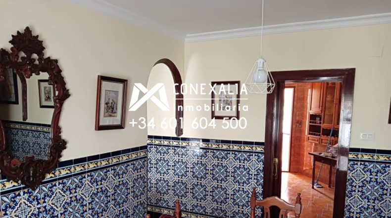 Cadiz - Olvera - 280m2