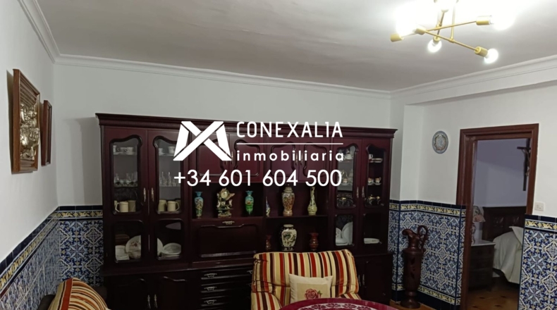 Cadiz - Olvera - 280m2