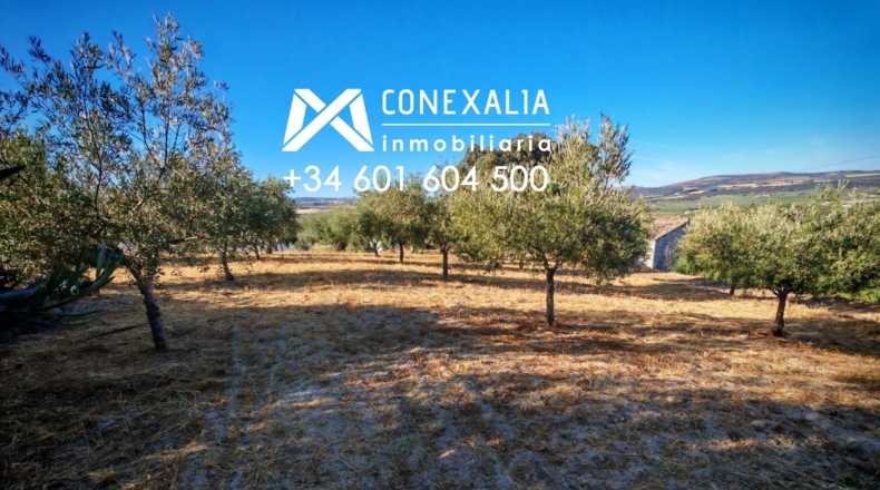 Cádiz - Сетениль-де-лас-Бодегас - 3000m2