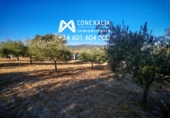 Finca rústica en venda a Setenil de las Bodegas ref.: TR334897 foto