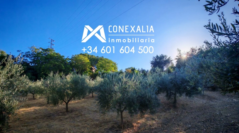 Cádiz - Сетениль-де-лас-Бодегас - 3000m2
