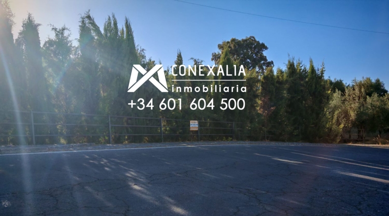 Cádiz - Сетениль-де-лас-Бодегас - 3000m2