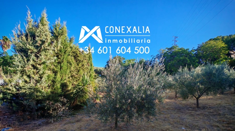 Cádiz - Сетениль-де-лас-Бодегас - 3000m2