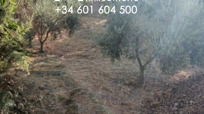 Cádiz - Сетениль-де-лас-Бодегас - 3000m2