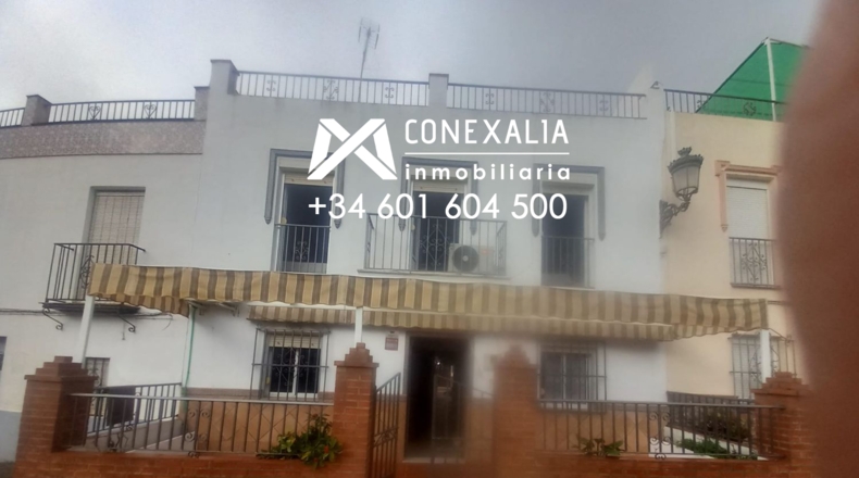 Sevilla - Pruna - 179m2