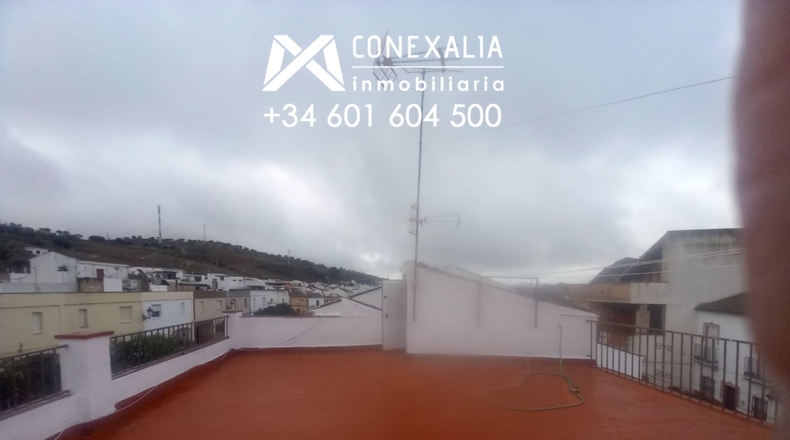 Sevilla - Pruna - 179m2