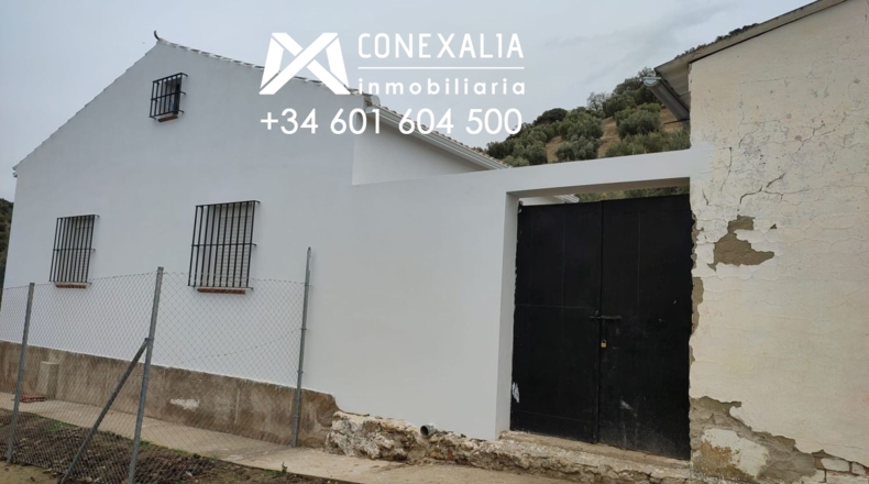 Cádiz - Alcalá del Valle - 32700m2