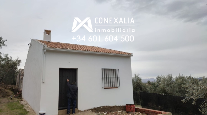Cádiz - Alcalá del Valle - 32700m2