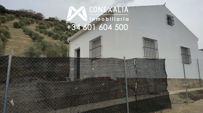 Cádiz - Alcalá del Valle - 32700m2