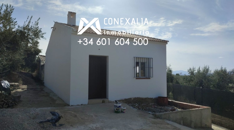 Cádiz - Alcalá del Valle - 32700m2