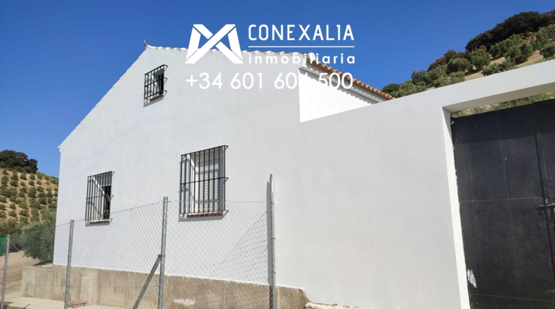 Cádiz - Alcalá del Valle - 32700m2