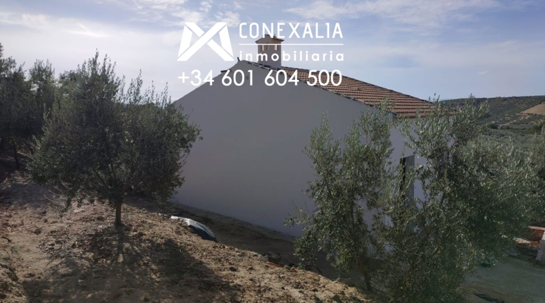 Cádiz - Alcalá del Valle - 32700m2