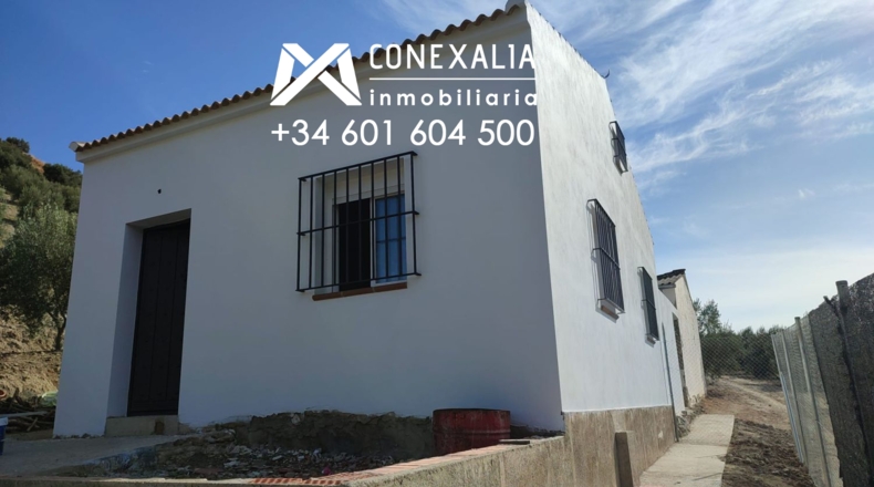 Cádiz - Alcalá del Valle - 32700m2