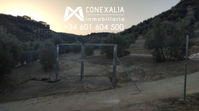 Cádiz - Alcalá del Valle - 32700m2