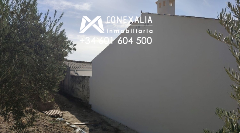 Cádiz - Alcalá del Valle - 32700m2