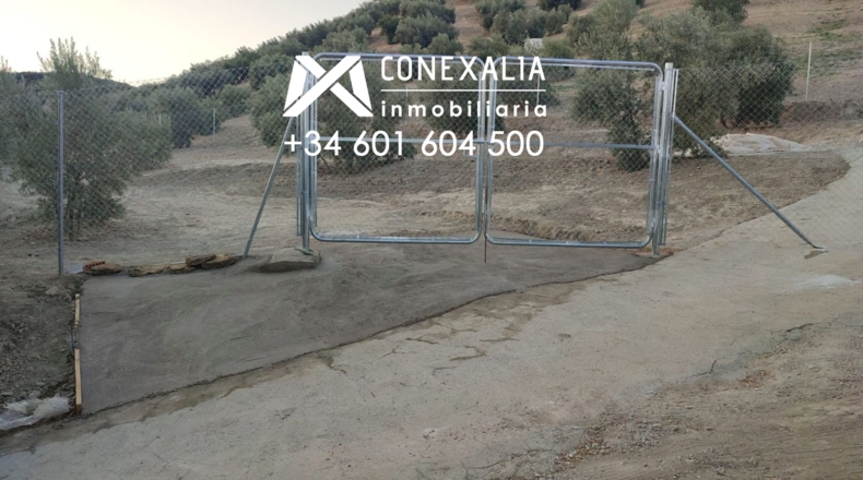 Cádiz - Alcalá del Valle - 32700m2
