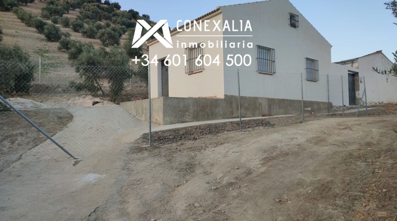 Cádiz - Alcalá del Valle - 32700m2