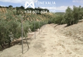 Finca rústica en venda a Alcalá del Valle ref.: TR375763 foto