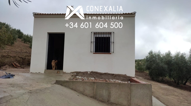 Cádiz - Alcalá del Valle - 32700m2