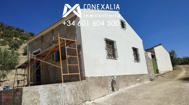 Cádiz - Alcalá del Valle - 32700m2