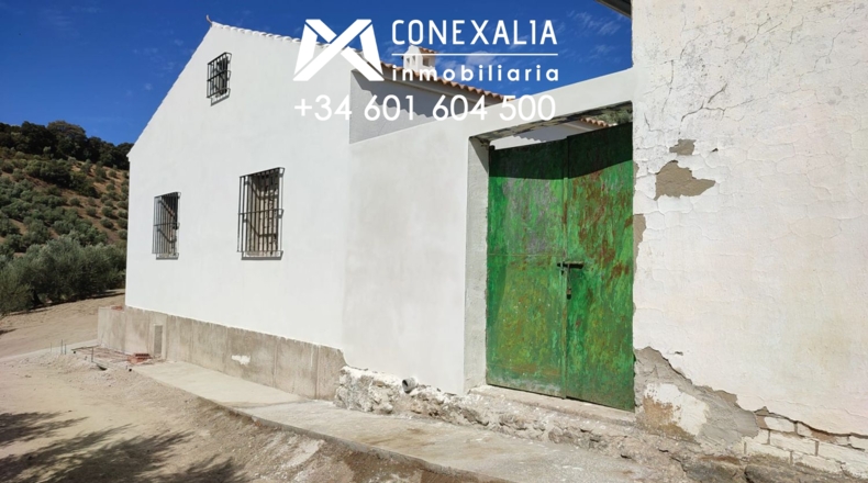 Cádiz - Alcalá del Valle - 32700m2