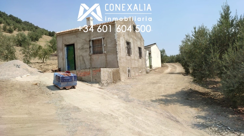 Cádiz - Alcalá del Valle - 32700m2
