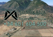 Rural estate for sale in Olvera ref: TR190804 photo