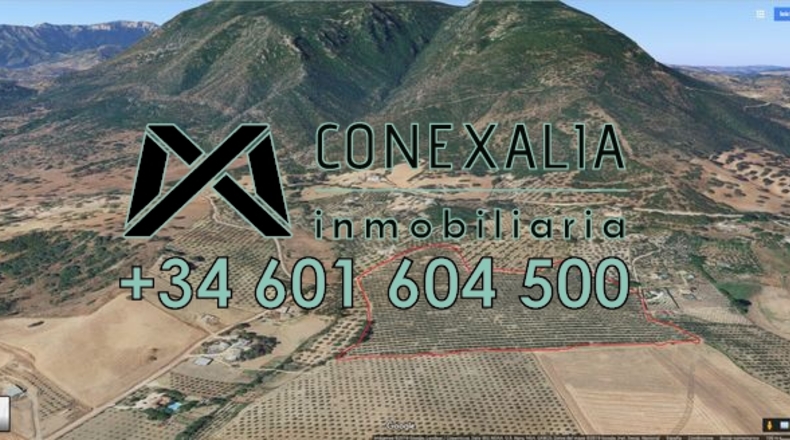 Cádiz - Olvera - 106260m2