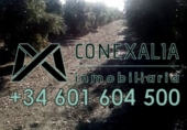 Rural estate for sale in Olvera ref: TR190804 photo