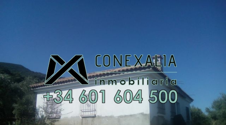 Cádiz - Olvera - 106260m2