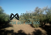 Rural estate for sale in Olvera ref: TR190804 photo