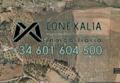 Rural estate for sale in Olvera ref: TR190804 photo
