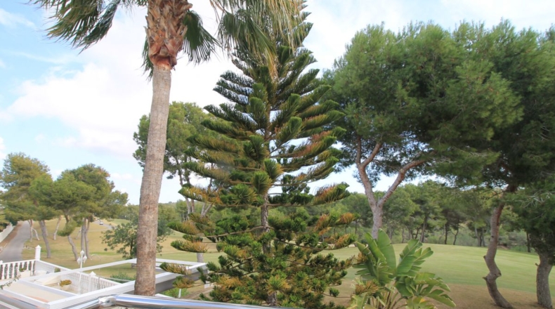Alicante - Orihuela - 600m2