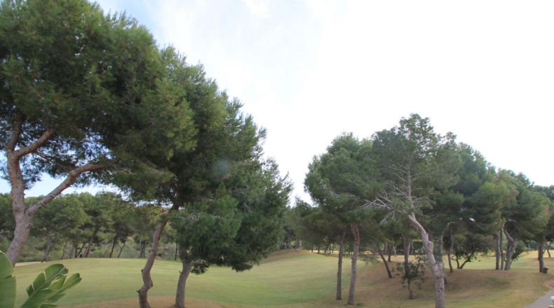 Alicante - Orihuela - 600m2