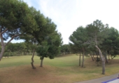Vil·la amb terreny en venda a la España, Oriola, ref.: TR16306 foto