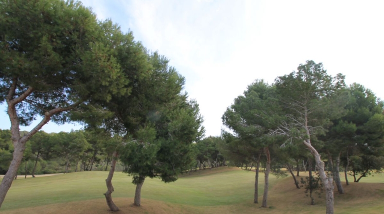 Alicante - Orihuela - 600m2