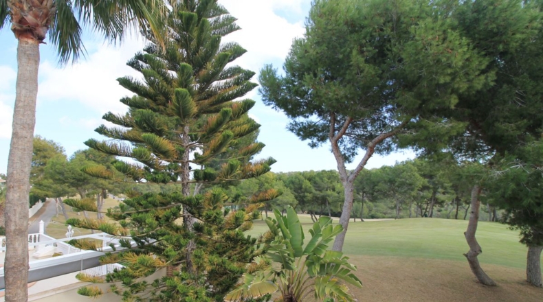 Alicante - Orihuela - 600m2