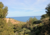 Xalet adossat amb terreny en venda a Torrevella ref.: TR335881 foto