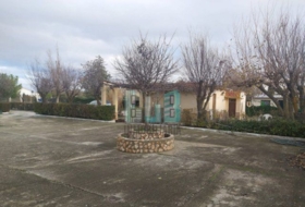 Foto 19