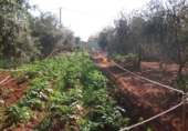 Xalet independent amb terreny en venda a Vila-real ref.: TR16558 foto