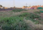 Parcel·la urbanitzable en venda a Vila-real ref.: TR36495 foto
