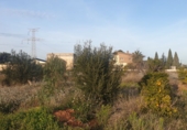 Land suitable for development for sale in Vila-real ref: TR52639 photo