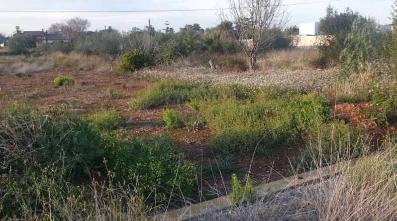 Castellón - Vila-real - 1140m2