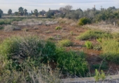 Terreny no urbanitzable en venda a Vila-real ref.: TR32761 foto