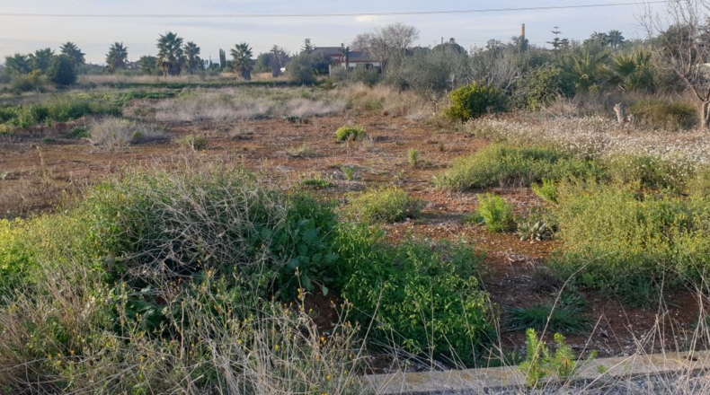 Castellón - Vila-real - 1483m2