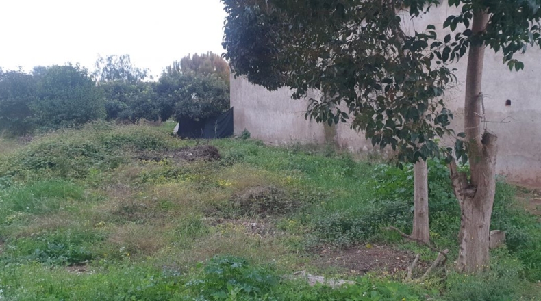 Castellón - Barri Pino-Forn - 1733m2