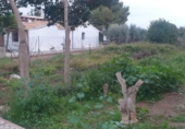Land suitable for development for sale in Alquerías del Niño Perdido ref: TR52635 photo