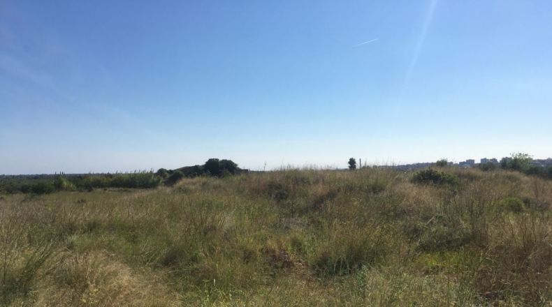 Castellón - Castelló de la Plana - 7662m2