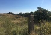 Terreny no urbanitzable en venda a la España, Castelló de la Plana, ref.: TR43638 foto
