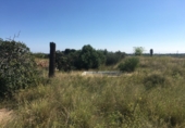 Terreny no urbanitzable en venda a la España, Castelló de la Plana, ref.: TR43638 foto